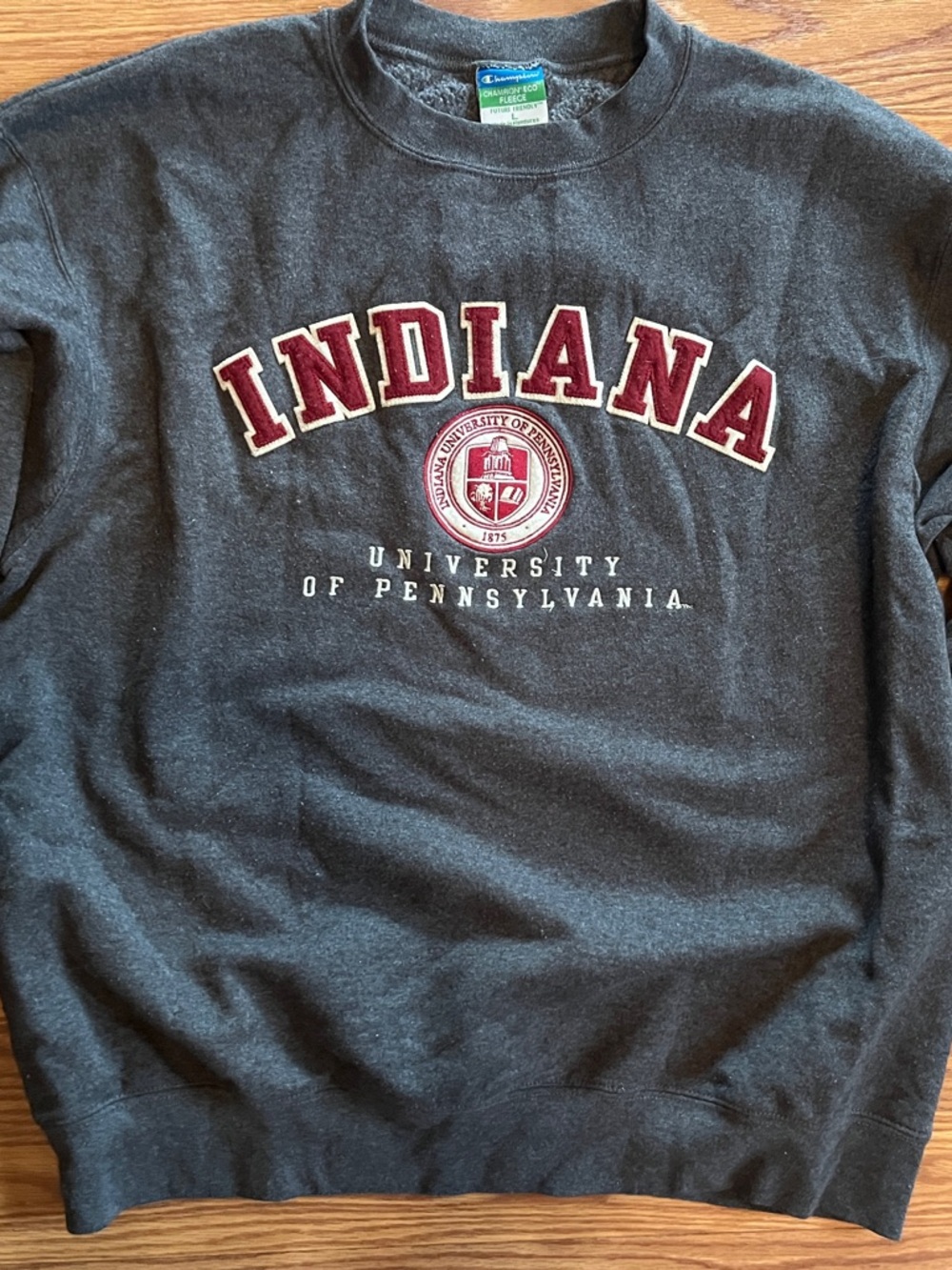 Champion Eco Fleece Sweatshirt - Gray with Blue and Green Label